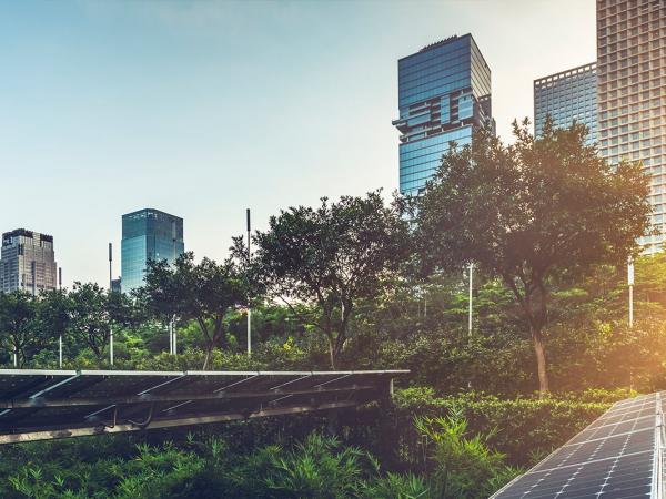 Mintz Advises Spring Lane Capital on New Approach