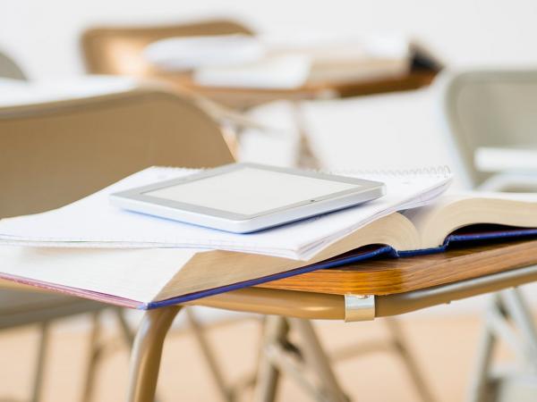 Dismissal of Class Claims against the Eagleton School