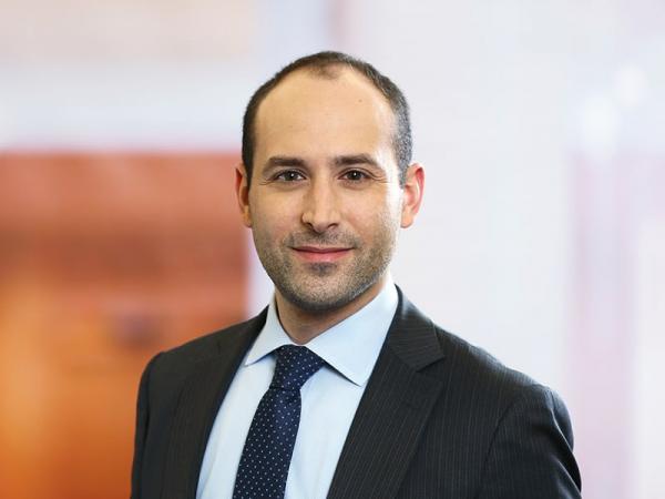 Professional Cropped Rosenbaum Todd Mintz