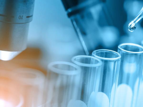 Representing BeiGene in Strategic Collaborations