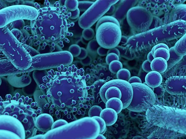 Fueling Synlogic’s Growing Pipeline