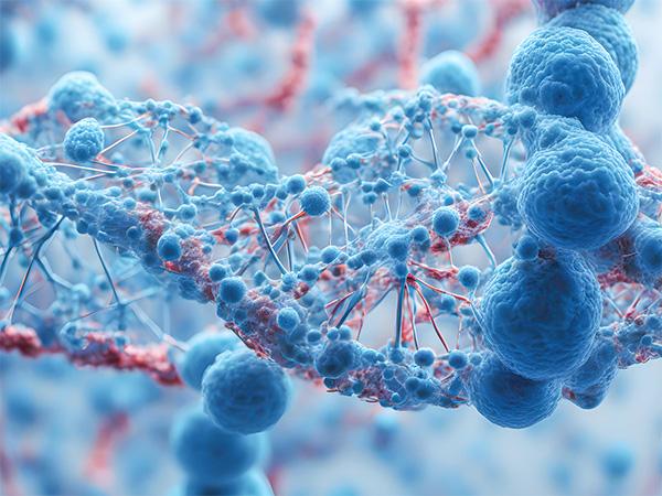 Mintz Advises on Verastem Oncology’s $103 Million Public Offering