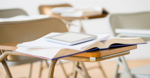 Case Study Hero Dismissal of Class Claims Against Eaglet on School Mintz